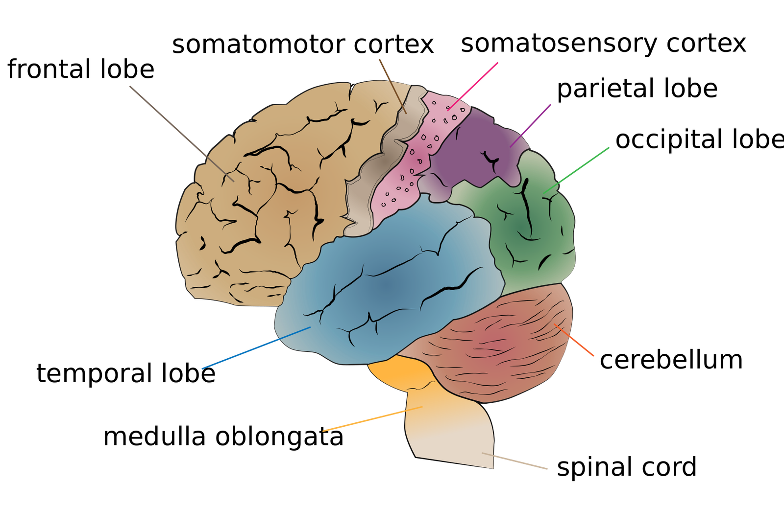 The Golf Mental Game